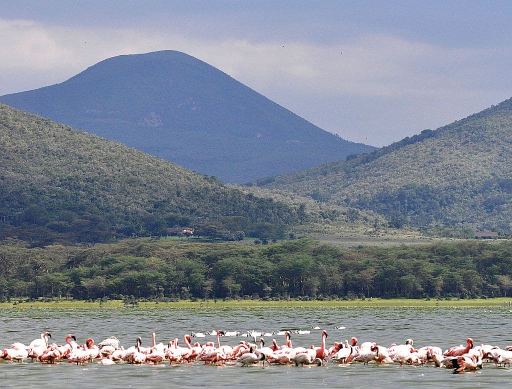 4-Day The WRC Koroga Festival 2023